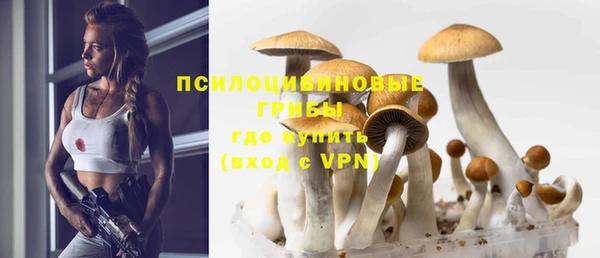 скорость Няндома