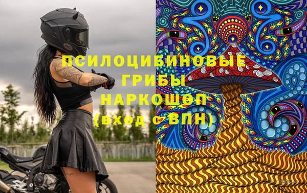 скорость Няндома
