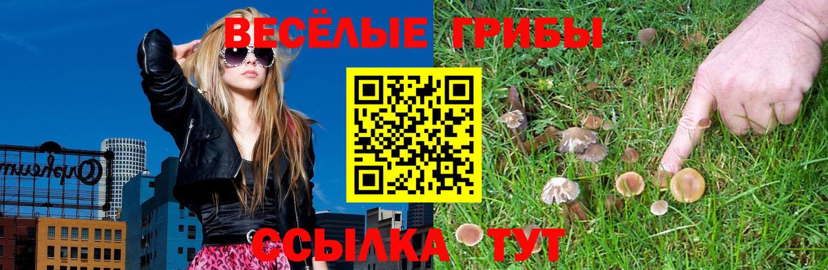 Галлюциногенные грибы прущие грибы Чистополь