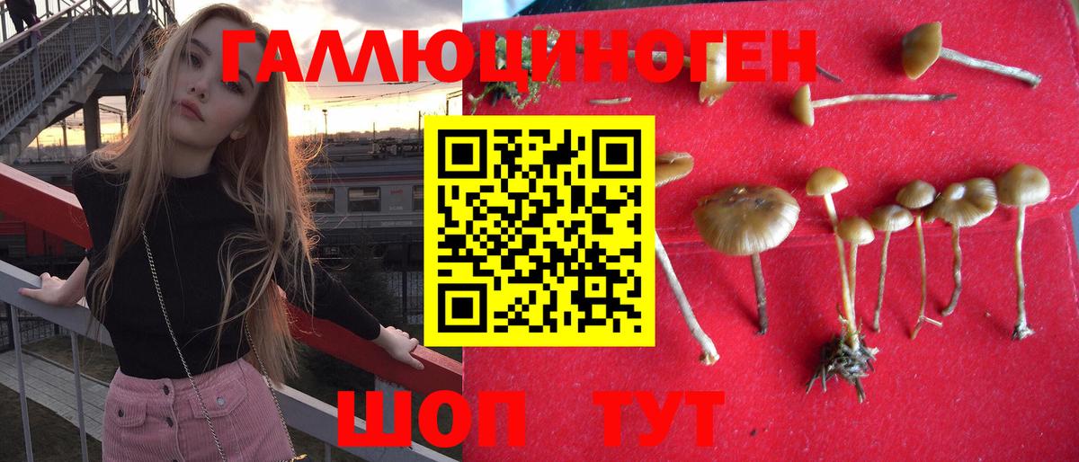 Чистополь  хочу наркоту  Вход с VPN  Псилоцибиновые грибы мухоморы 