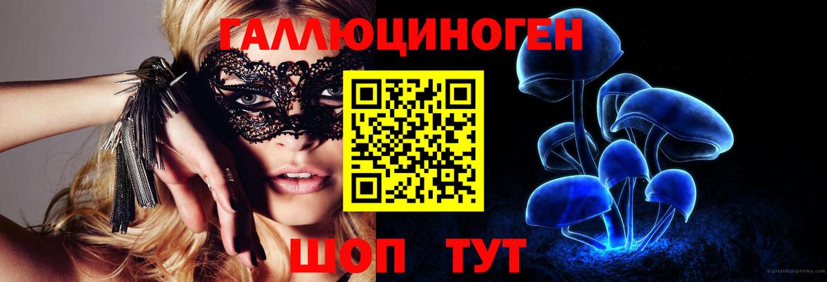 Псилоцибиновые грибы Cubensis  Чистополь  Псилоцибиновые грибы мицелий 